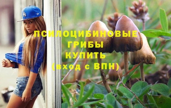 каннабис Алзамай
