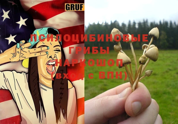 винт Липки